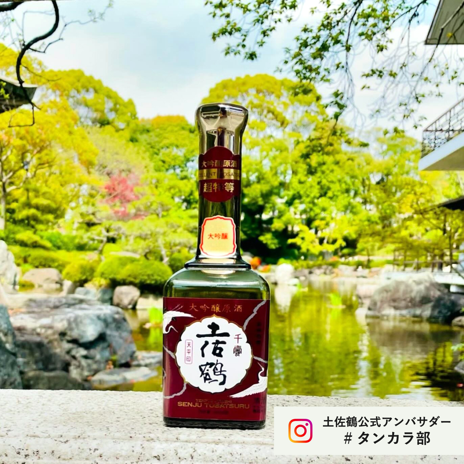 大吟醸原酒 天平 900ml｜土佐鶴オンラインショップ