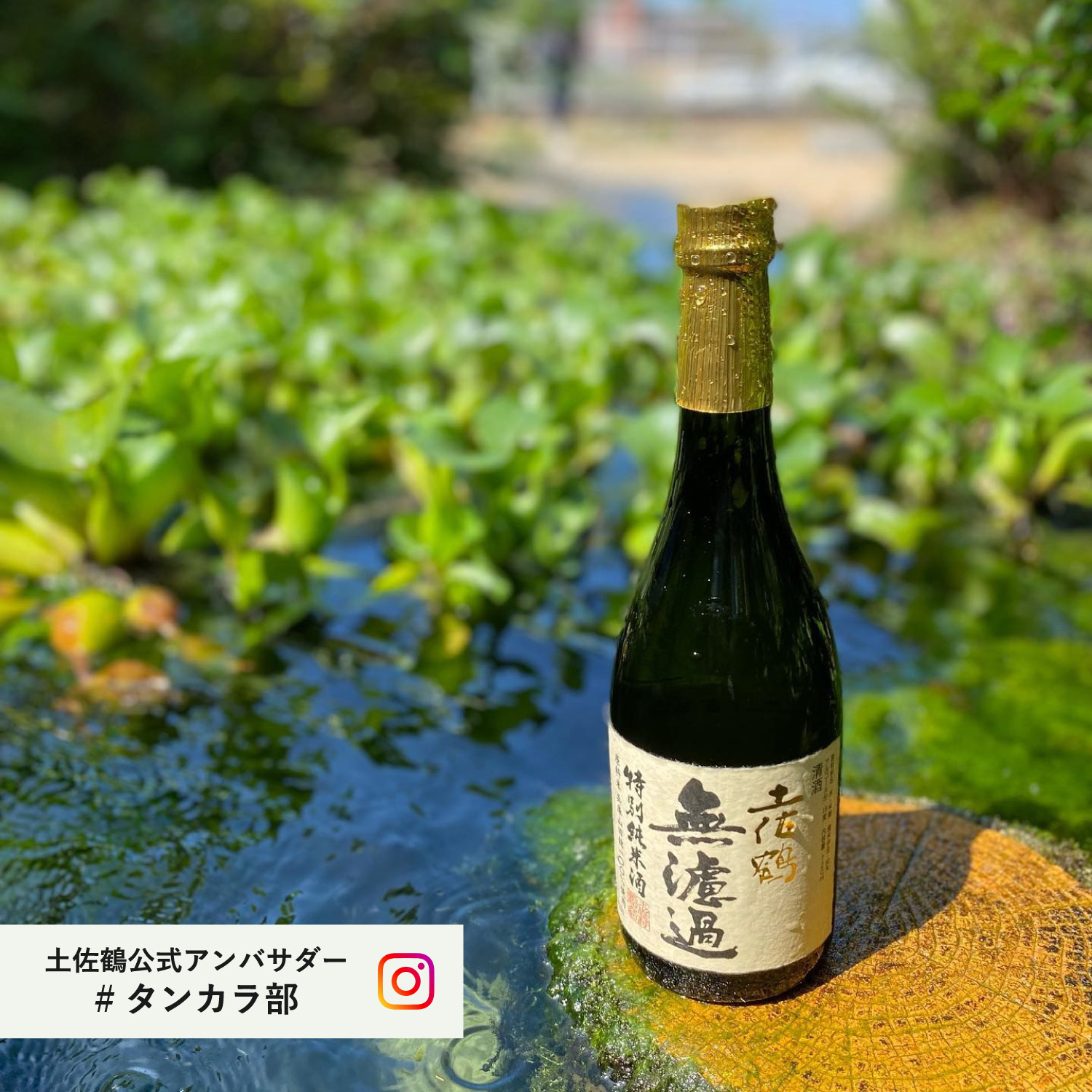 特別純米 無濾過原酒 720ml｜土佐鶴オンラインショップ